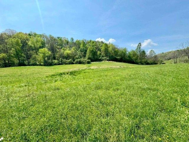 Land for sale in Gandeeville, West Virginia