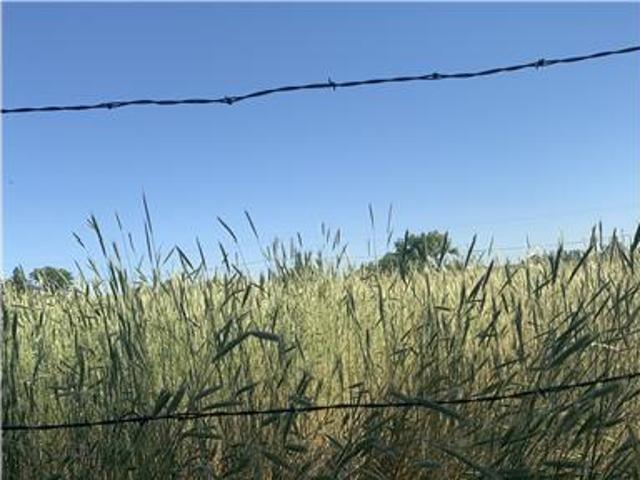 House for rent in Greeley, Colorado