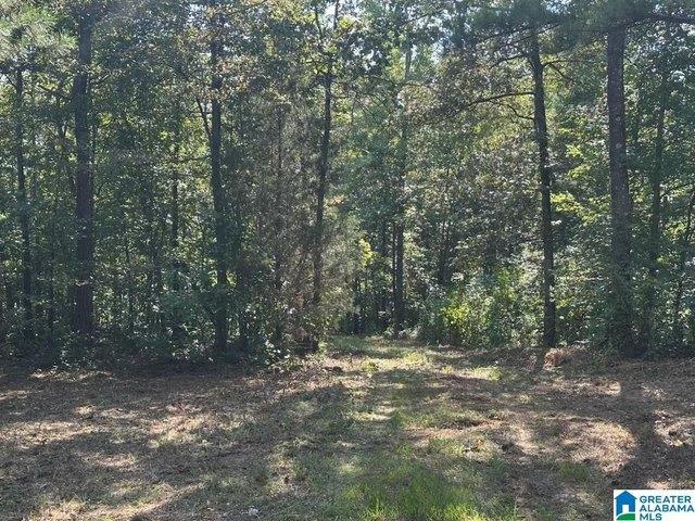 Land for sale in Riverside, Alabama