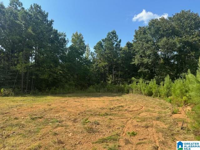 Land for sale in Riverside, Alabama