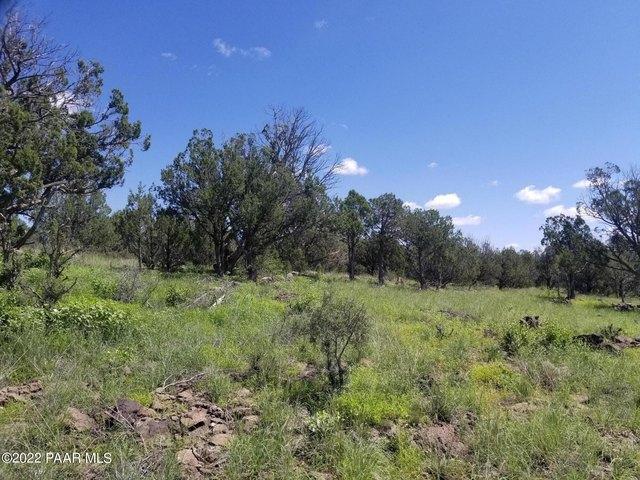 Land for sale in Ash Fork, Arizona