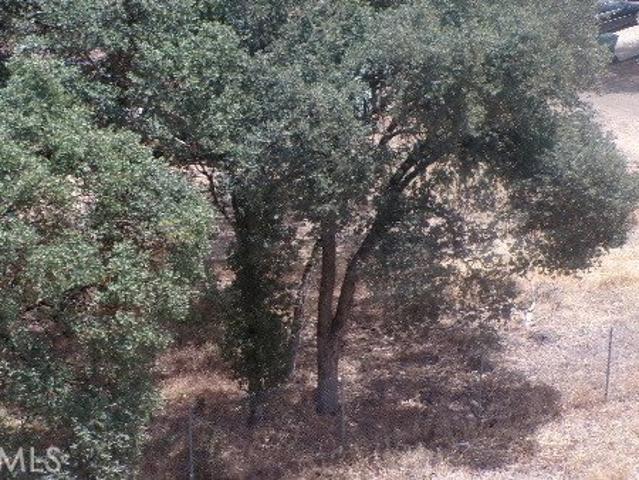 Land for sale in Lake, California