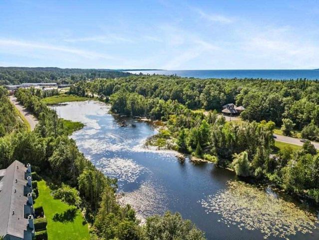 Condo for sale in Petoskey, Michigan