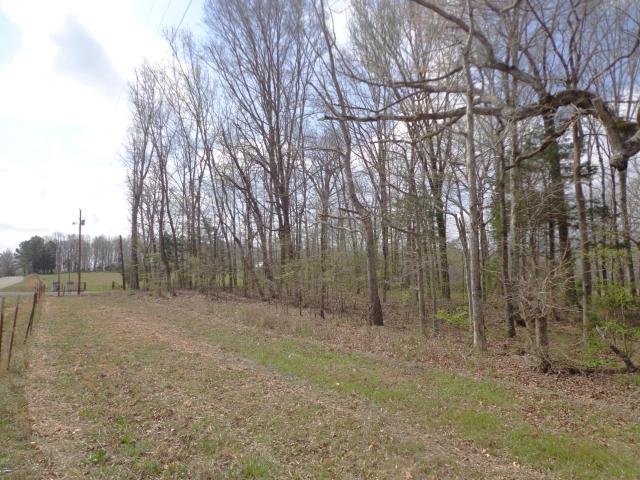 Land for sale in Tennessee