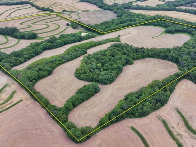 Land for sale in Sidney, Iowa