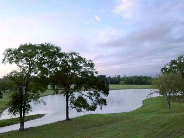 Land for sale in Willis, Texas