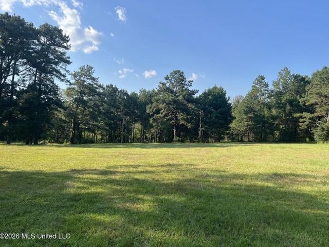 Land for sale in Saucier, Mississippi