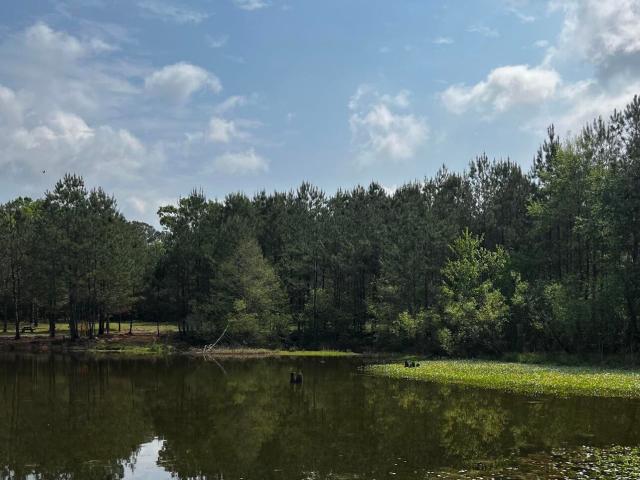 Land for sale in Mississippi