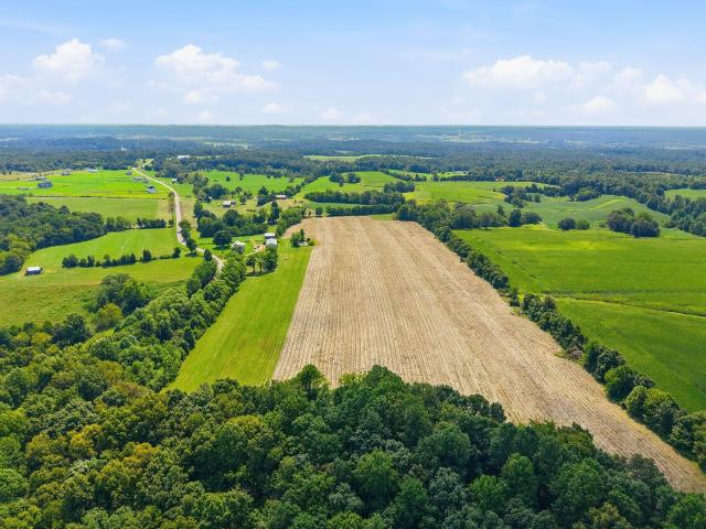 Farm for sale in Rineyville, Kentucky