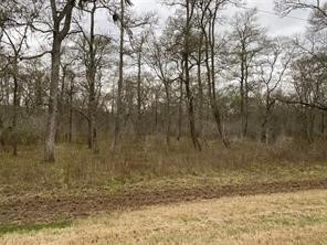 Land for sale in Needville, Texas
