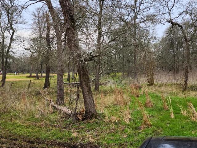 Land for sale in Needville