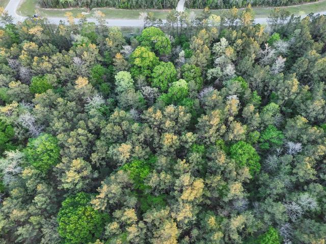 Land for sale in Willis, Montgomery County