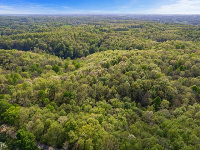Land for sale in Tennessee