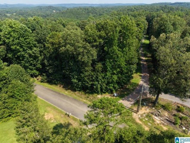 Land for sale in Morris, Alabama