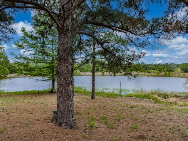 Farm for sale in Ledbetter, Texas