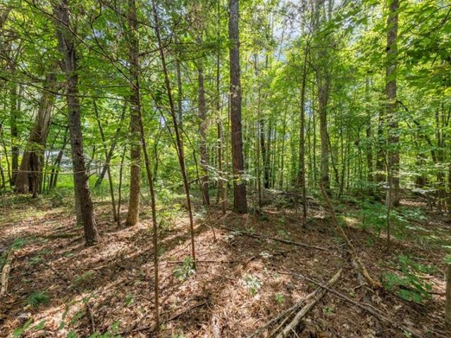 Land for sale in Granville, North Carolina