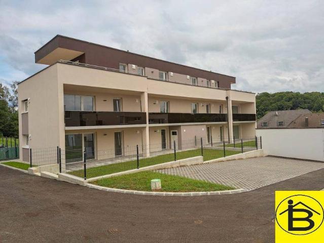Apartment kaufen in Eisenreichdornach, Amstetten