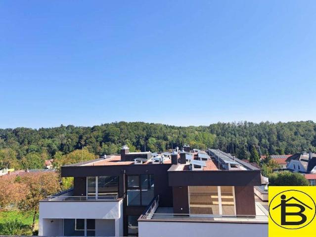 Apartment kaufen in Eisenreichdornach, Amstetten
