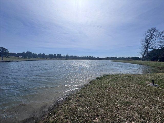 Land for sale in Willis, Texas