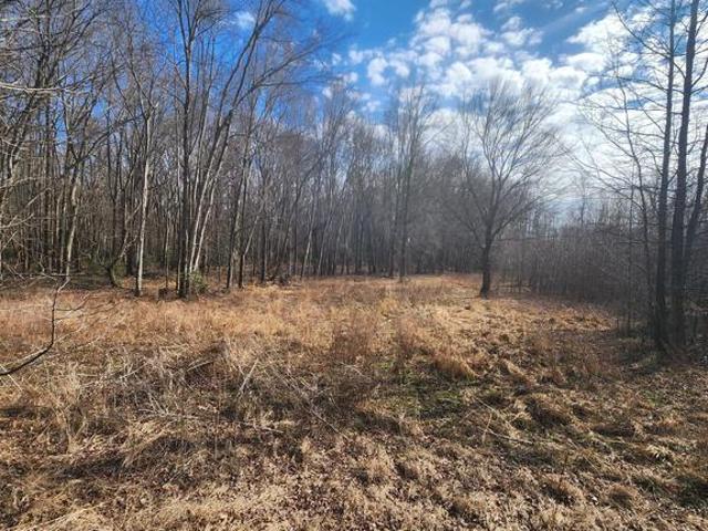 Land for sale in Goldsboro, Maryland