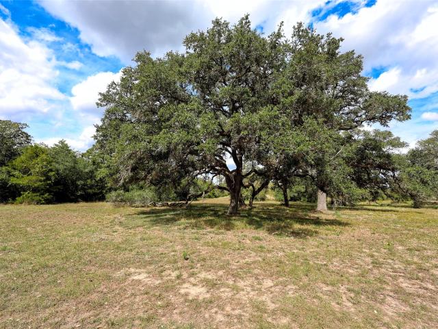 Farm for sale in Hallettsville, Lavaca County