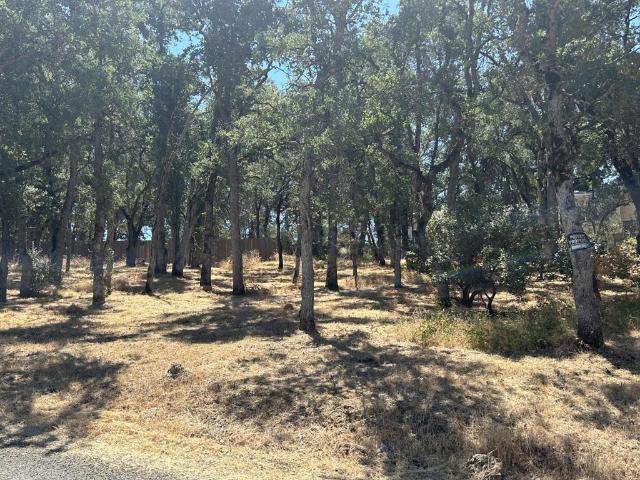 Land for sale in Clearlake, Lake County