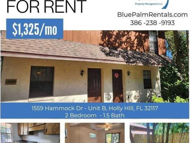 Apartment for rent in Holly Hill, Florida