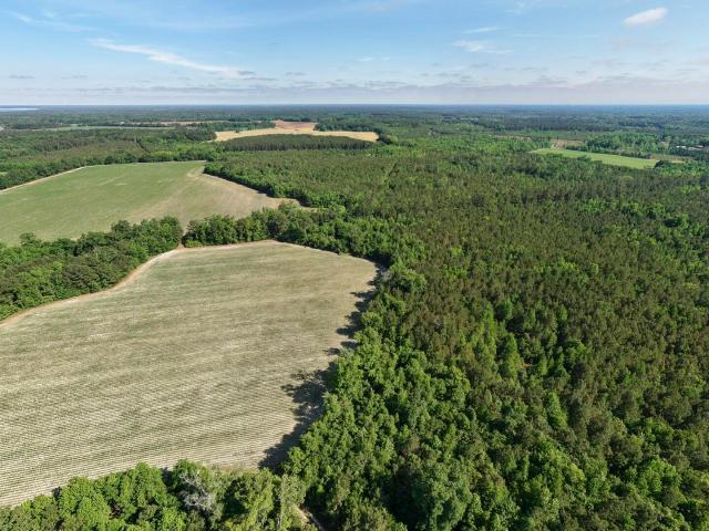 Land for sale in Vance, South Carolina