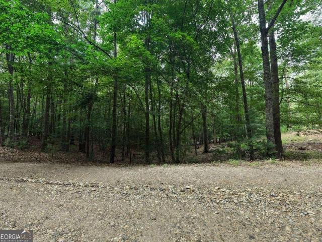 Land for sale in Blairsville, Union County