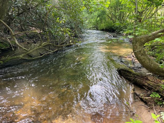 Land for sale in Murphy, Cherokee County