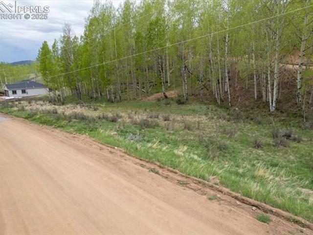 Land for sale in Cripple Creek