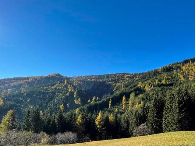 Gewerbe kaufen in St. Marein, St. Johann im Pongau