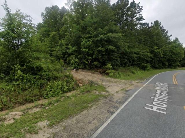 Land for sale in Roberta, Georgia