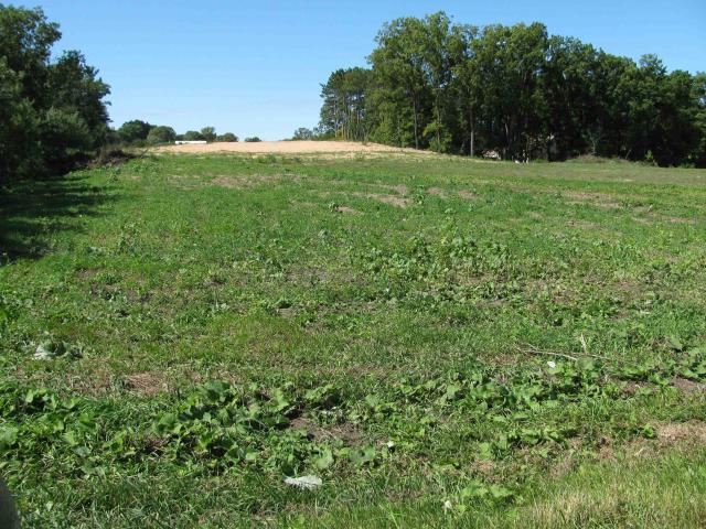 Land for sale in Arena, Wisconsin