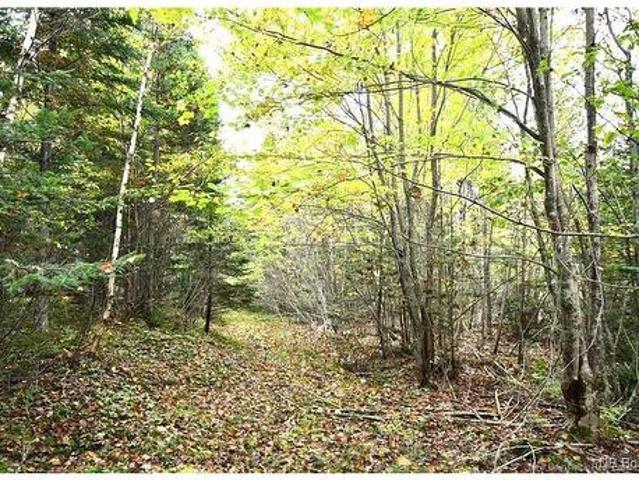 Land for sale in Charlotte, New Brunswick