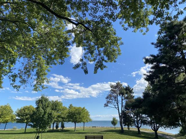 Apartment for rent in Etobicoke—Lakeshore, Toronto