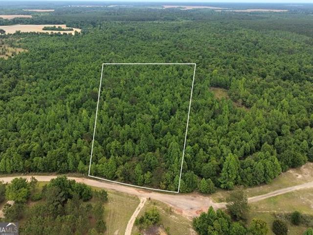 Land for sale in Worth, Georgia
