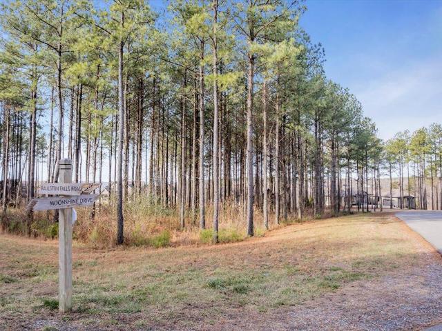 Land for sale in Tennessee