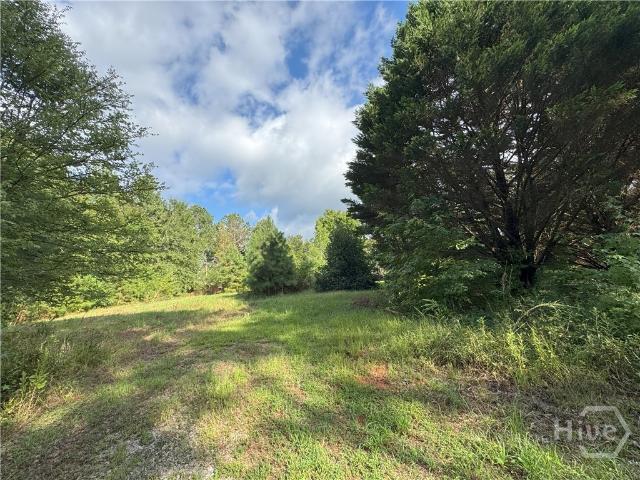 Land for sale in Danielsville, Georgia