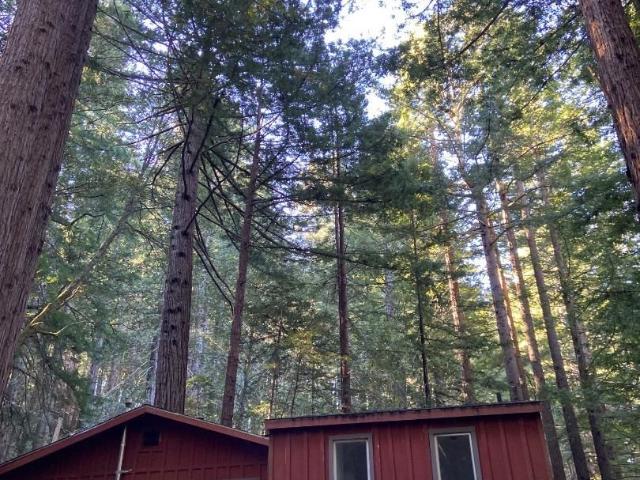 House for sale in San Mateo, California