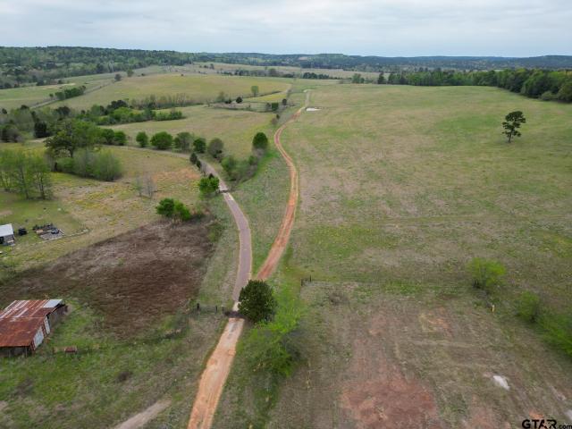 Land for sale in Diana, Texas