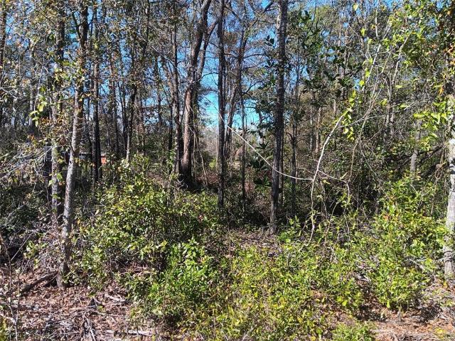 Land for sale in Bronson, Florida