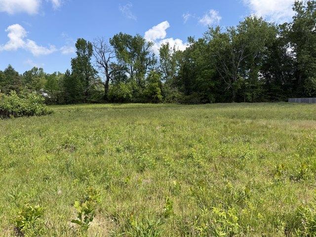 Land for sale in Tennessee