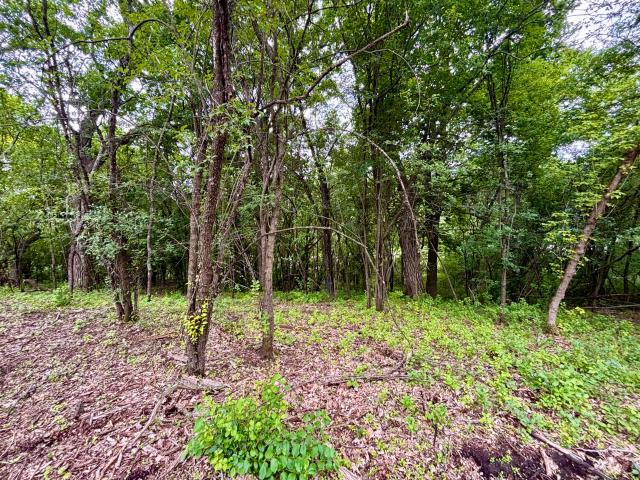Land for sale in Wales, Wisconsin