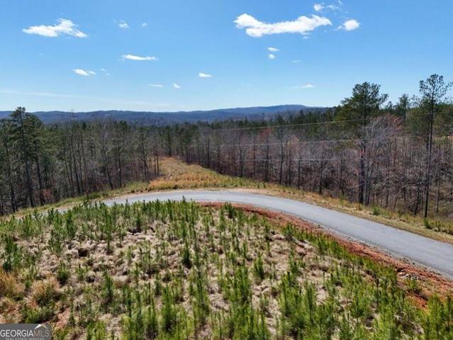 Land for sale in Pickens, Georgia