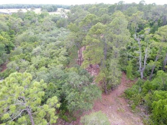 Land for sale in Pomona Park, Florida
