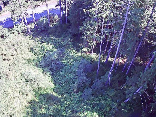 Land for sale in Brinnon
