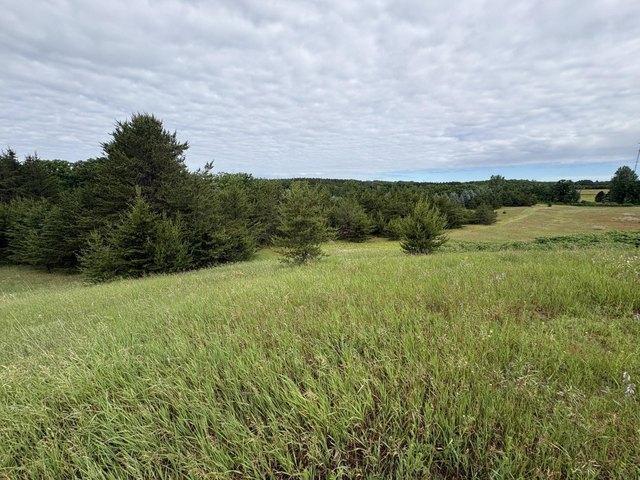 Land for sale in Fort Ripley, Minnesota
