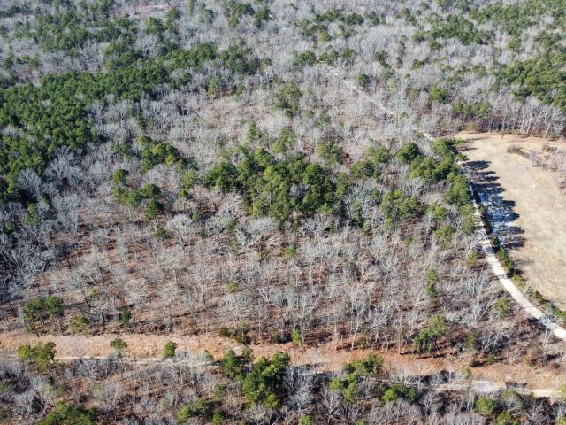 Land for sale in Shannon, Missouri