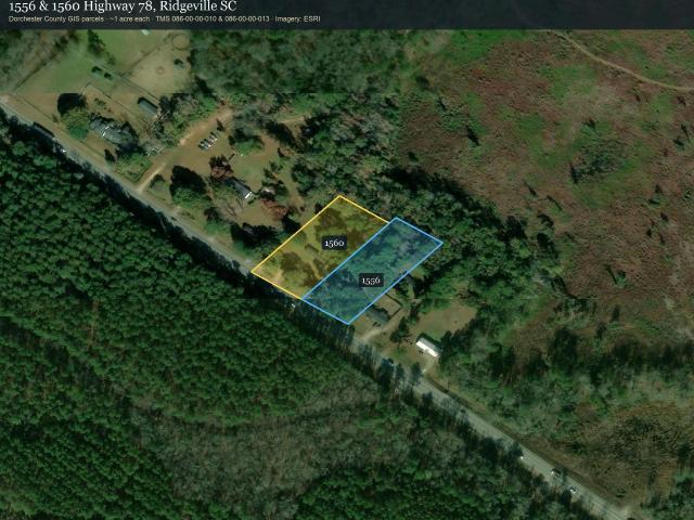Land for sale in Ridgeville, Dorchester County